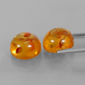 Achetez naturel ct orange ambre gems, transparent, en provenance pologne chez gemselect. en stock, livraison internationale!