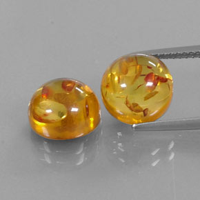 Achetez naturel ct orange ambre gems, transparent, en provenance pologne chez gemselect. en stock, livraison internationale!