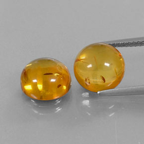 Achetez naturel ct orange ambre gems, transparent, en provenance pologne chez gemselect. en stock, livraison internationale!