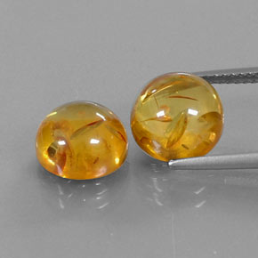 Achetez naturel ct orange ambre gems, transparent, en provenance pologne chez gemselect. en stock, livraison internationale!