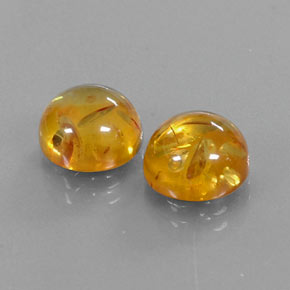 Achetez naturel ct orange ambre gems, transparent, en provenance pologne chez gemselect. en stock, livraison internationale!