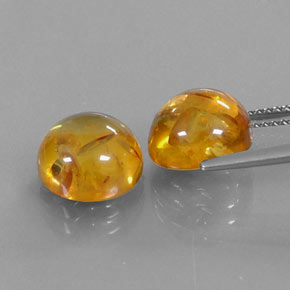 Achetez naturel ct orange ambre gems, transparent, en provenance pologne chez gemselect. en stock, livraison internationale!