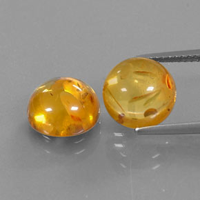 Achetez naturel ct orange ambre gems, transparent, en provenance pologne chez gemselect. en stock, livraison internationale!