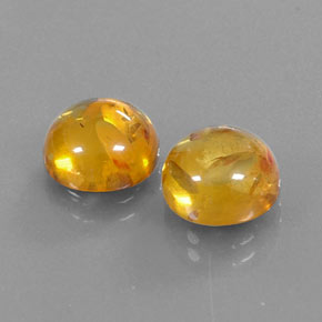 Achetez naturel ct orange ambre gems, transparent, en provenance pologne chez gemselect. en stock, livraison internationale!