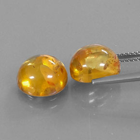 Achetez naturel ct orange ambre gems, transparent, en provenance pologne chez gemselect. en stock, livraison internationale!