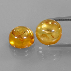 Achetez naturel ct orange ambre gems, transparent, en provenance pologne chez gemselect. en stock, livraison internationale!