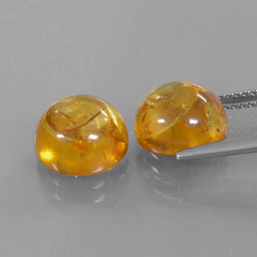 Achetez naturel ct orange ambre gems, transparent, en provenance pologne chez gemselect. en stock, livraison internationale!