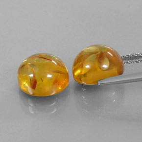 Achetez naturel ct orange ambre gems, transparent, en provenance pologne chez gemselect. en stock, livraison internationale!