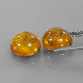Achetez naturel ct orange ambre gems, transparent, en provenance pologne chez gemselect. en stock, livraison internationale!
