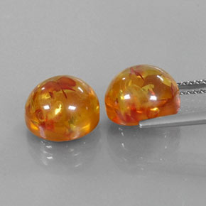 Achetez naturel ct orange ambre gems, transparent, en provenance pologne chez gemselect. en stock, livraison internationale!