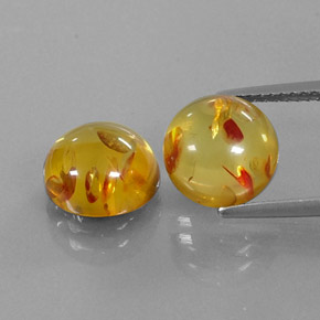 Achetez naturel ct orange ambre gems, transparent, en provenance pologne chez gemselect. en stock, livraison internationale!