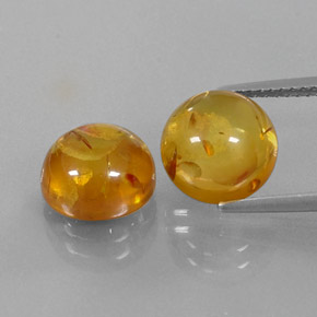 Achetez naturel ct orange ambre gems, transparent, en provenance pologne chez gemselect. en stock, livraison internationale!