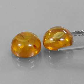 Achetez naturel ct orange ambre gems, transparent, en provenance pologne chez gemselect. en stock, livraison internationale!