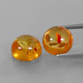 Achetez naturel ct orange ambre gems, transparent, en provenance pologne chez gemselect. en stock, livraison internationale!