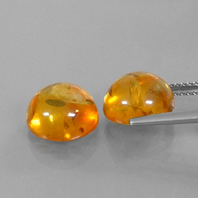 Achetez naturel ct orange ambre gems, transparent, en provenance pologne chez gemselect. en stock, livraison internationale!
