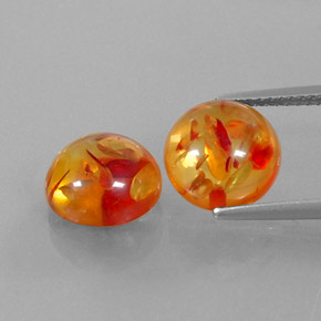 Achetez naturel ct orange ambre gems, transparent, en provenance pologne chez gemselect. en stock, livraison internationale!