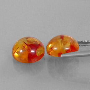 Achetez naturel ct orange ambre gems, transparent, en provenance pologne chez gemselect. en stock, livraison internationale!