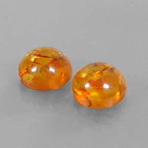 Achetez naturel ct orange ambre gems, transparent, en provenance pologne chez gemselect. en stock, livraison internationale!