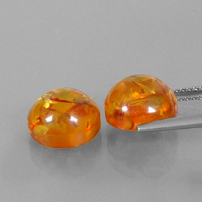 Achetez naturel ct orange ambre gems, transparent, en provenance pologne chez gemselect. en stock, livraison internationale!
