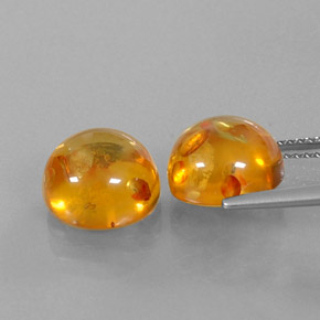 Achetez naturel ct orange ambre gems, transparent, en provenance pologne chez gemselect. en stock, livraison internationale!