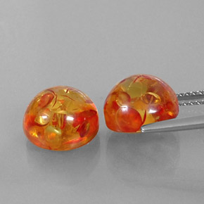 Achetez naturel ct orange ambre gems, transparent, en provenance pologne chez gemselect. en stock, livraison internationale!