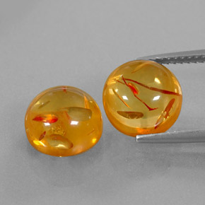 Achetez naturel ct orange ambre gems, transparent, en provenance pologne chez gemselect. en stock, livraison internationale!
