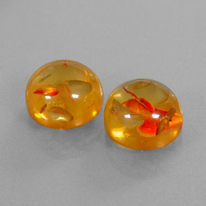 Achetez naturel ct orange ambre gems, transparent, en provenance pologne chez gemselect. en stock, livraison internationale!