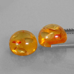 Achetez naturel ct orange ambre gems, transparent, en provenance pologne chez gemselect. en stock, livraison internationale!