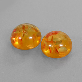 Achetez naturel ct orange ambre gems, transparent, en provenance pologne chez gemselect. en stock, livraison internationale!