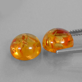 Achetez naturel ct orange ambre gems, transparent, en provenance pologne chez gemselect. en stock, livraison internationale!