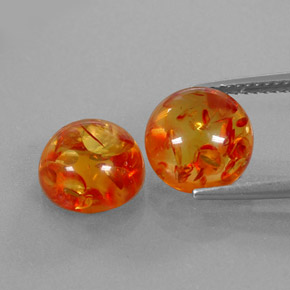 Achetez naturel ct orange ambre gems, transparent, en provenance pologne chez gemselect. en stock, livraison internationale!
