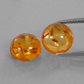 Achetez naturel ct orange ambre gems, transparent, en provenance pologne chez gemselect. en stock, livraison internationale!