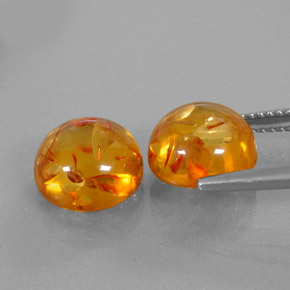 Achetez naturel ct orange ambre gems, transparent, en provenance pologne chez gemselect. en stock, livraison internationale!
