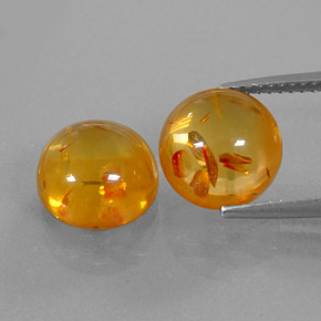 Achetez naturel ct orange ambre gems, transparent, en provenance pologne chez gemselect. en stock, livraison internationale!