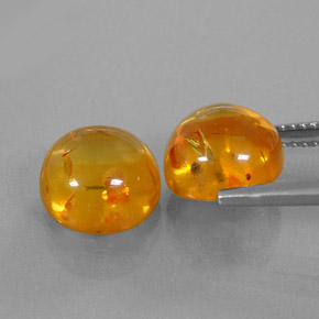 Achetez naturel ct orange ambre gems, transparent, en provenance pologne chez gemselect. en stock, livraison internationale!