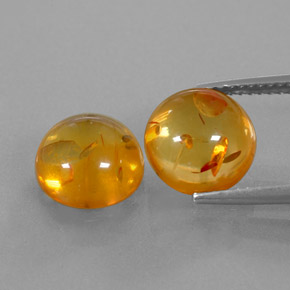 Achetez naturel ct orange ambre gems, transparent, en provenance pologne chez gemselect. en stock, livraison internationale!