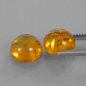 Achetez naturel ct orange ambre gems, transparent, en provenance pologne chez gemselect. en stock, livraison internationale!