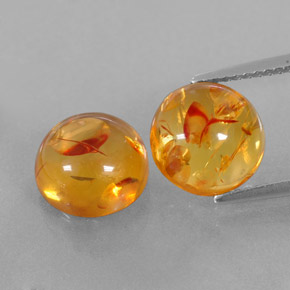 Achetez naturel ct orange ambre gems, transparent, en provenance pologne chez gemselect. en stock, livraison internationale!