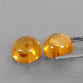 Achetez naturel ct orange ambre gems, transparent, en provenance pologne chez gemselect. en stock, livraison internationale!