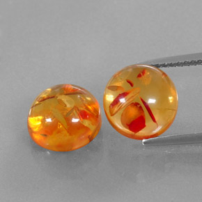 Achetez naturel ct orange ambre gems, transparent, en provenance pologne chez gemselect. en stock, livraison internationale!