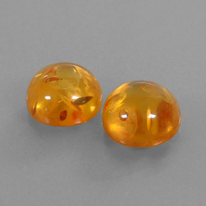 Achetez naturel ct orange ambre gems, transparent, en provenance pologne chez gemselect. en stock, livraison internationale!