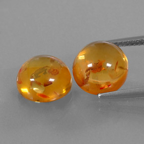 Achetez naturel ct orange ambre gems, transparent, en provenance pologne chez gemselect. en stock, livraison internationale!