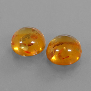 Achetez naturel ct orange ambre gems, transparent, en provenance pologne chez gemselect. en stock, livraison internationale!