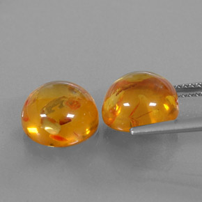 Achetez naturel ct orange ambre gems, transparent, en provenance pologne chez gemselect. en stock, livraison internationale!
