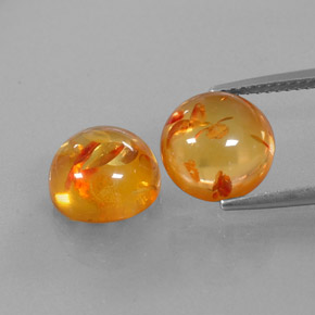 Achetez naturel ct orange ambre gems, transparent, en provenance pologne chez gemselect. en stock, livraison internationale!