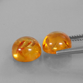 Achetez naturel ct orange ambre gems, transparent, en provenance pologne chez gemselect. en stock, livraison internationale!