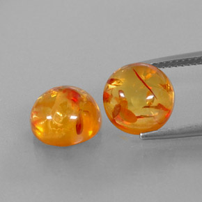 Achetez naturel ct orange ambre gems, transparent, en provenance pologne chez gemselect. en stock, livraison internationale!