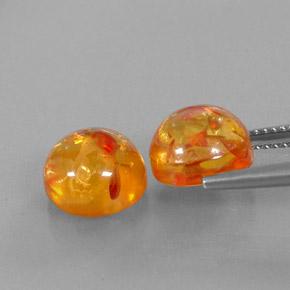 Achetez naturel ct orange ambre gems, transparent, en provenance pologne chez gemselect. en stock, livraison internationale!