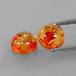 Achetez naturel ct orange ambre gems, transparent, en provenance pologne chez gemselect. en stock, livraison internationale!