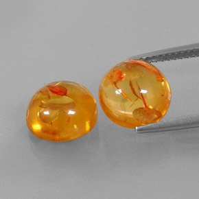 Achetez naturel ct orange ambre gems, transparent, en provenance pologne chez gemselect. en stock, livraison internationale!